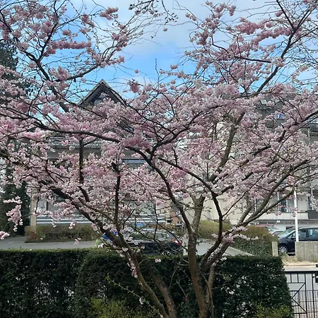 Duenenhaus Souterrain Apartment *