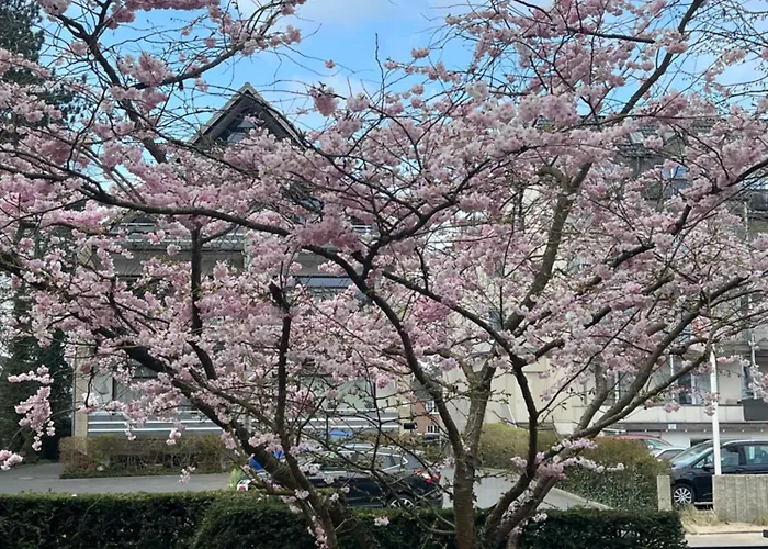 Duenenhaus Souterrain Apartment *